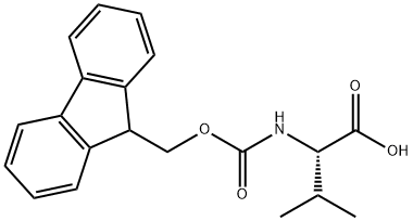 ಎನ್